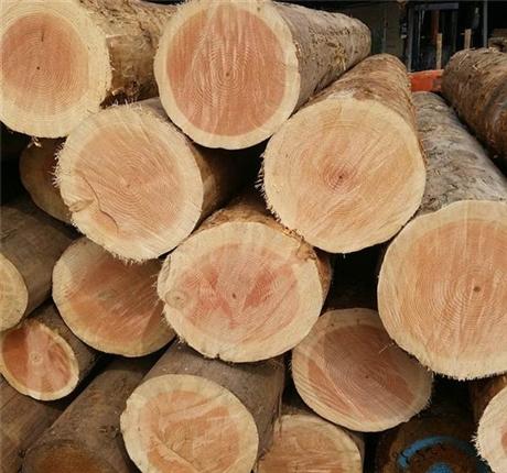 红松木材价格 北京红松木 美国红松木加工厂-搜采通