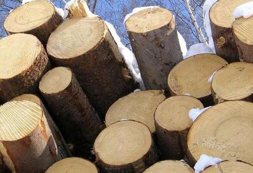 俄罗斯并不愿意看到对华木材贸易中市场份额下降