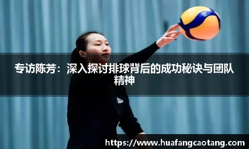 专访陈芳：深入探讨排球背后的成功秘诀与团队精神